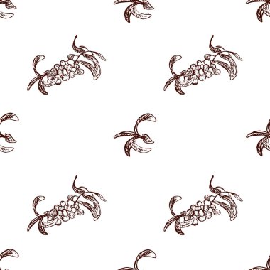 Beyaz arka planda izole edilmiş deniz karabatağı vektör deseni. Elle çizilmiş. Kumaş ve ambalaj kağıdı basmak için mükemmel..