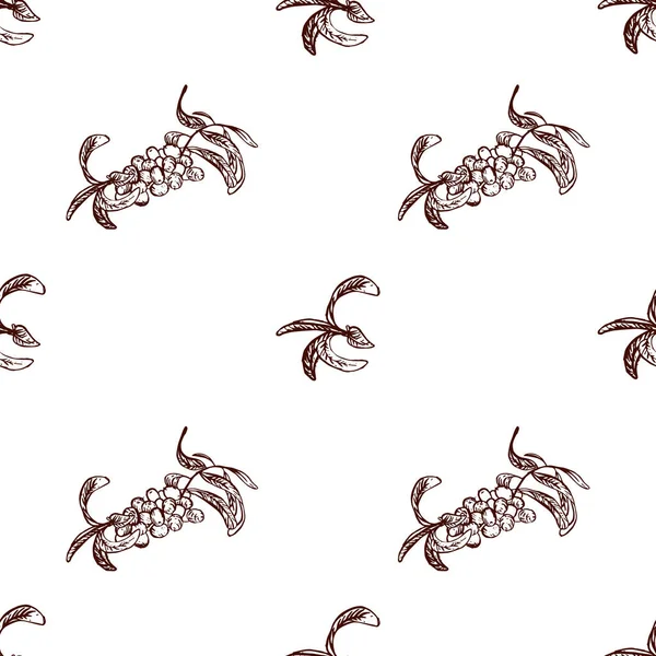 Beyaz arka planda izole edilmiş deniz karabatağı vektör deseni. Elle çizilmiş. Kumaş ve ambalaj kağıdı basmak için mükemmel..