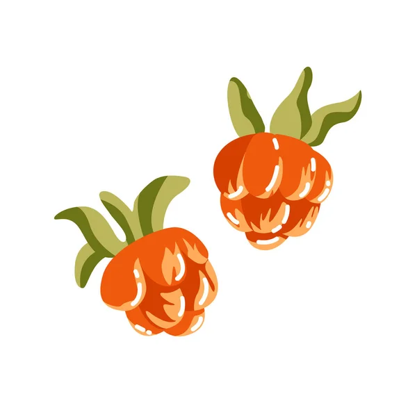 Vektorillustration Orangefarbener Beeren Isoliert Auf Weißem Hintergrund Himbeeren Brombeeren — Stockvektor