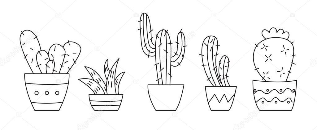 Vector set of different outline cactuses and succulents in flowerpots. Isolated on white background. 