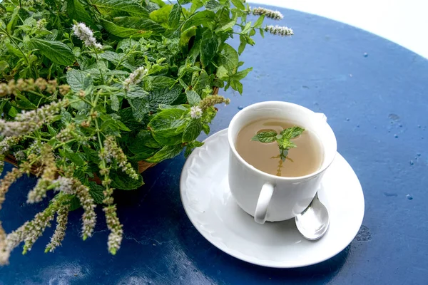 Cup Refreshing Peppermint Tea Bunch Spearmint Blue Table Swimming Pool — Stock Photo, Image