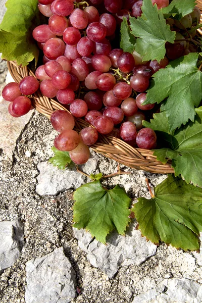 Red Grapes Basket Wooden Vintage Background — Stock Photo, Image