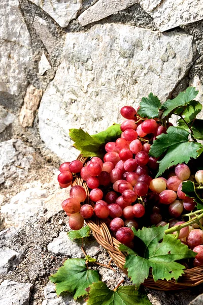 Červené Hrozny Košíku Dřevěné Vinobraní Pozadí — Stock fotografie