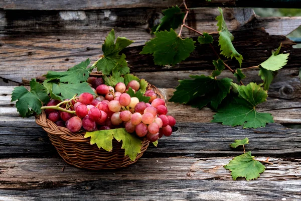 Červené Hrozny Košíku Dřevěném Vinobraní Pozadí Zavřít — Stock fotografie