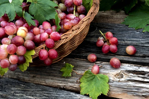 Červené Hrozny Košíku Dřevěném Vinobraní Pozadí Zavřít — Stock fotografie