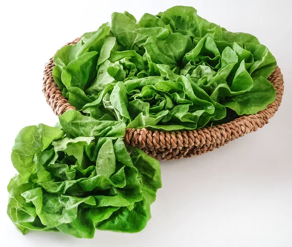 Fresh Lettuce Basket White Background — Stock Photo, Image