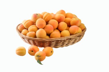 Kayısı dokuma sepetinde. Kesme yolu.