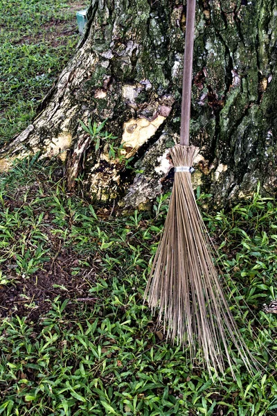 Traditionally made broom for cleaning gardens and parks.