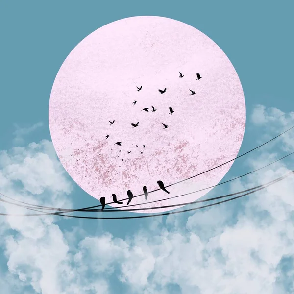 Birds Wires Big Pink Moon Cloudy Summer Evening Flock Birds — Stock Photo, Image