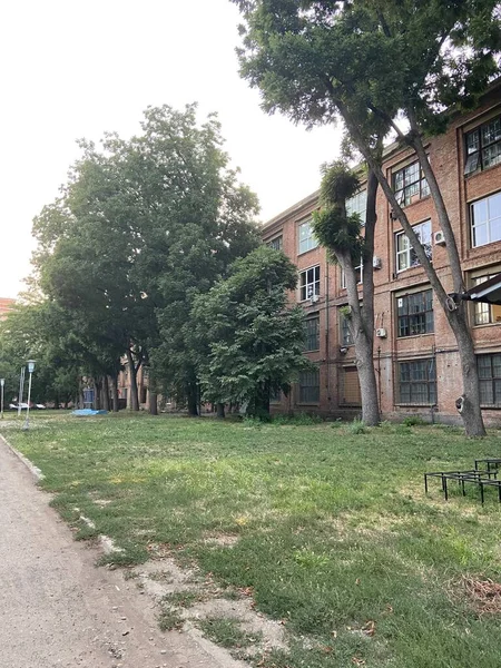 Promenade Dans Parc Avec Bâtiment Abandonné Parc Été Vieille Maison — Photo