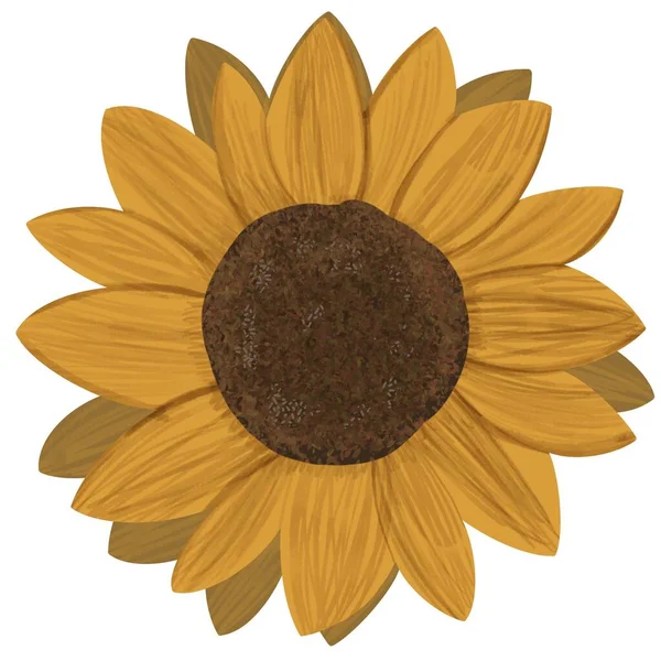 Slunečnicová Ilustrace Květina Mnoho Okvětních Lístků Podzimní Závod — Stock fotografie