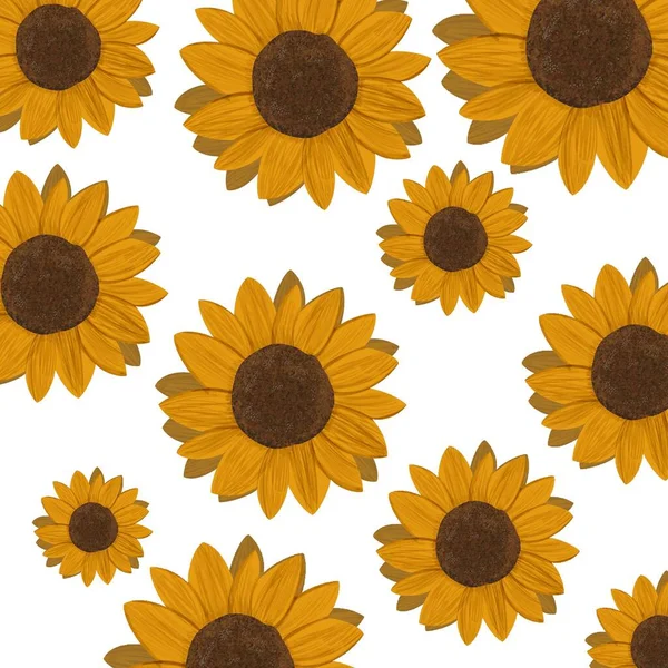 Sonnenblumen Muster Volumetrische Blumen Herbststrauß — Stockfoto