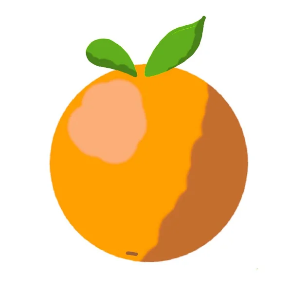 Illustration Orange Med Blad — Stockfoto