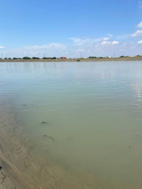 Körfez kıyısı ve dere. Yeşil çimen yaz günü