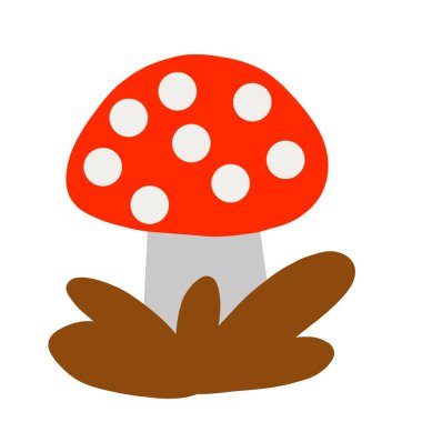 Dört numaralı mantar, doğal besin örnekleri. sonbahar yürüyüşü