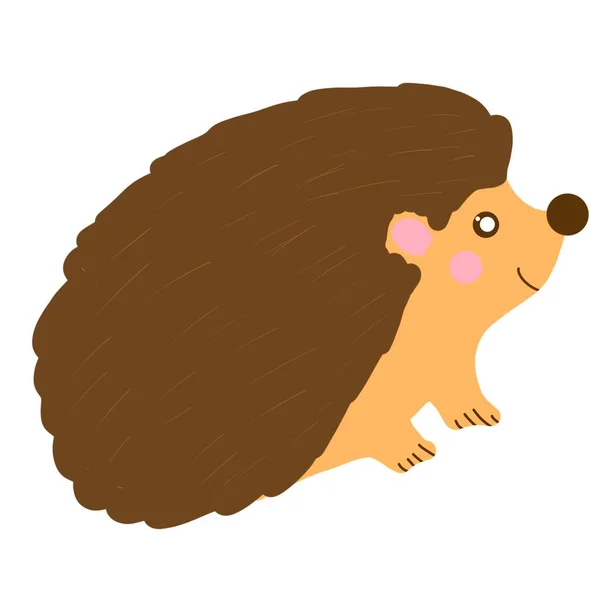 Hedgehog Pattern Needles Back Animals Brown Beast Fauna Flora Illustration — Stock Photo, Image