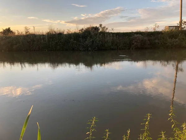 Kust Van Baai Kreek Groene Gras Zomerdag — Stockfoto