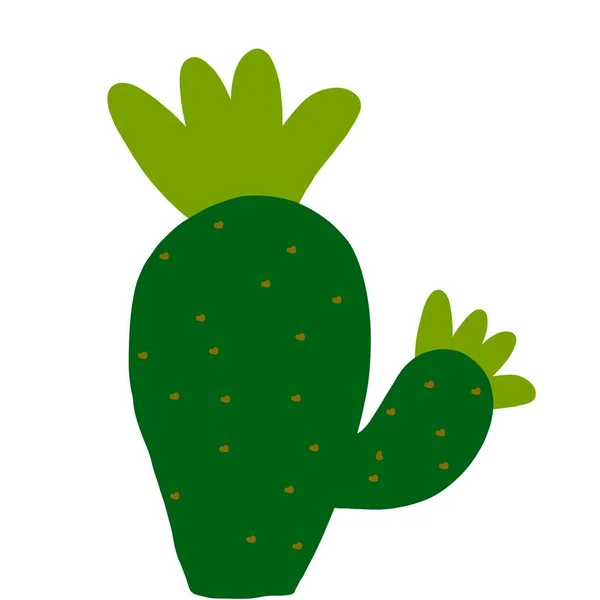 Groene Cactus Met Doornen Patroon Met Planten Illustraties Voor Boeken — Stockfoto