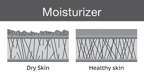 Hydratační Krém Suchá Pokožka Zdravá Pleť Vektorový Design — Stockový vektor