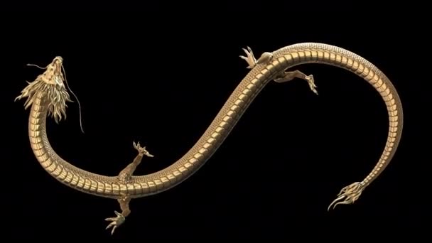 Китайська Анімаційна Петля Дракона Знаку Нескінченності Включає Альфа Шлях Рендерінгом — стокове відео