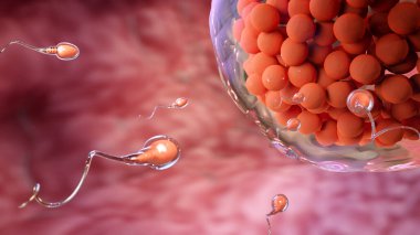 Vücutta yeni bir yaşam için spermler yumurtaya yüzer. Mikrobiyoloji laboratuvarda 3D görüntüleme ile kavramsaldır..