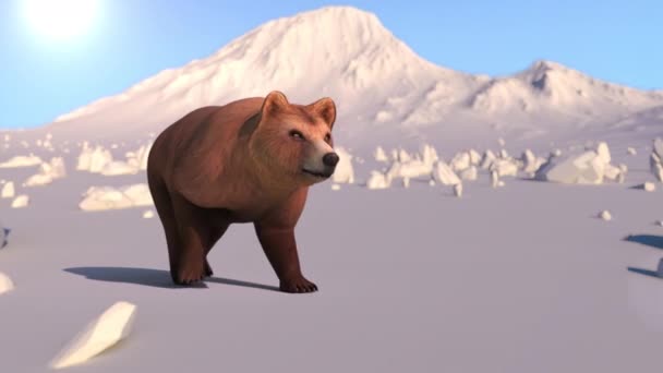 Grizzlie Bear Séta Jéghegyen Nap Animáció Renderelés Rajzfilm Koncepció — Stock videók