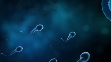 Sperm, laboratuvar bilimi konseptinde 3D ile yumurtlama hücresine yüzüyor..