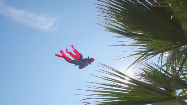 Bunte Drachen Fliegen Mit Bäumen Die Von Der Sonne Durchbohrt — Stockvideo