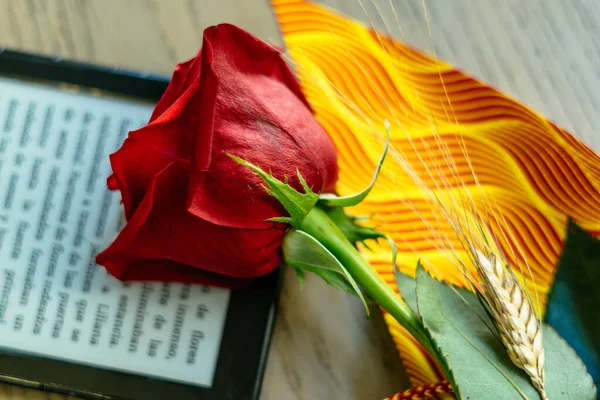 Red Rose Electronic Book Celebrate Sant Jordi Day April — Stock Photo, Image