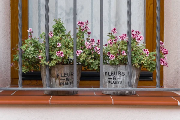 Window with bars and white curtain with flowers inside a pot