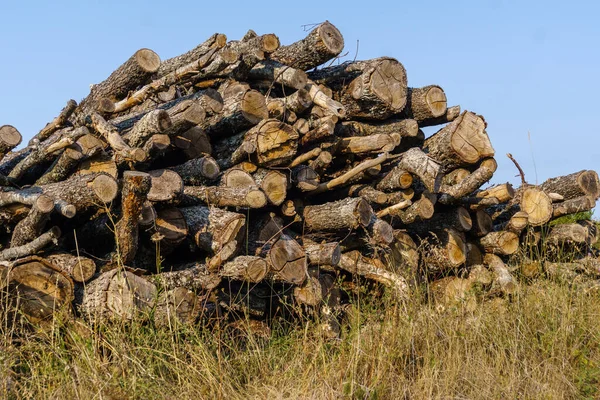 Chopped Firewood Prepared Heat Home Winter — Stock Photo, Image