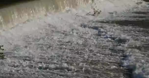 Дика Річка Окситанія Франція — стокове відео