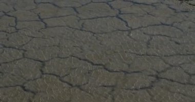 Kuraklık, güney Fransa, büyücülük, Fransa. Scamandre 'deki kuraklık toprağı üzerinden su geliyor. Doğal bölge parkı, Camargue, Fransa
