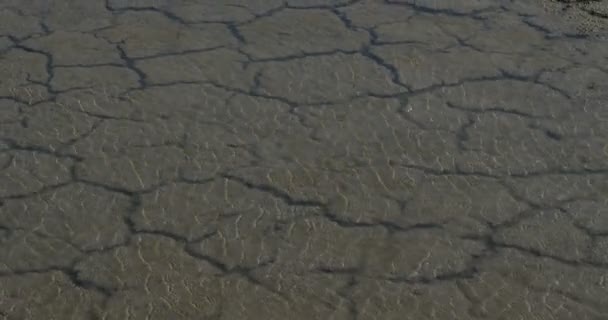 Suchość Południowa Francja Occitanie Francja Woda Powracająca Nad Suchą Glebą — Wideo stockowe