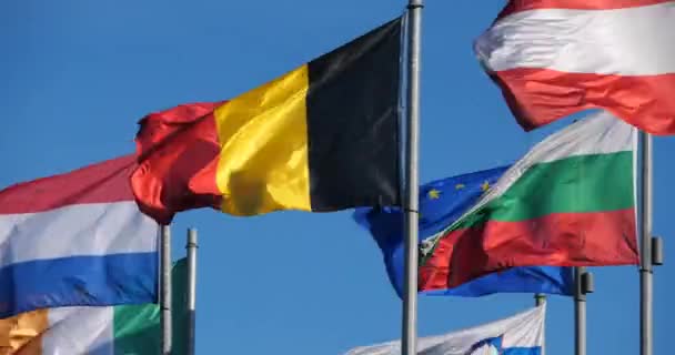 Flaggor Europeiska Länder Vinkar Vinden — Stockvideo