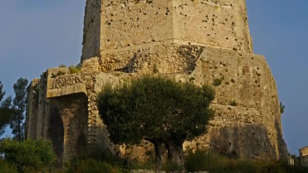 Ρωμαϊκός Πύργος Magne Πάρκο Fontaine Nimes Gard Γαλλία — Αρχείο Βίντεο