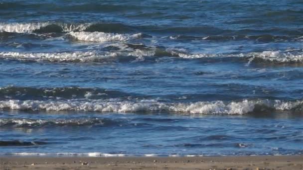 法国地中海沿岸的海浪 — 图库视频影像