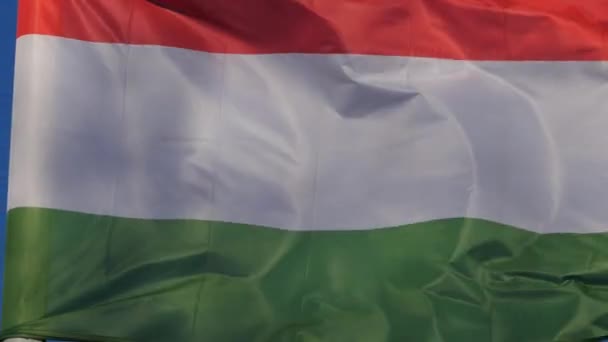 Bandera Nacional Húngara Ondeando Viento — Vídeo de stock