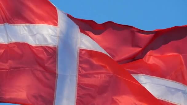 Die Dänische Nationalflagge Weht Wind — Stockvideo