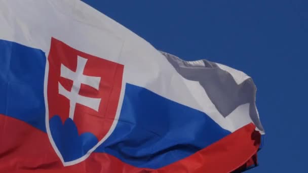 Flaga Narodowa Słowacka Machająca Wietrze — Wideo stockowe