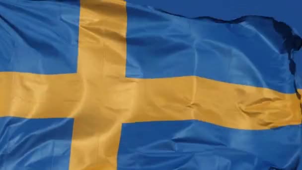 Die Schwedische Nationalflagge Weht Wind — Stockvideo