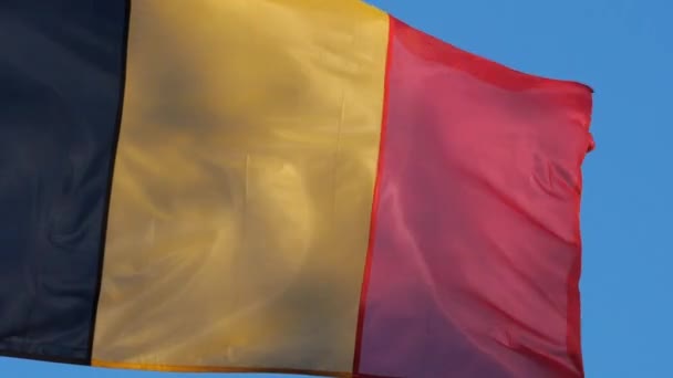 Flaga Belgii Machająca Wietrze — Wideo stockowe