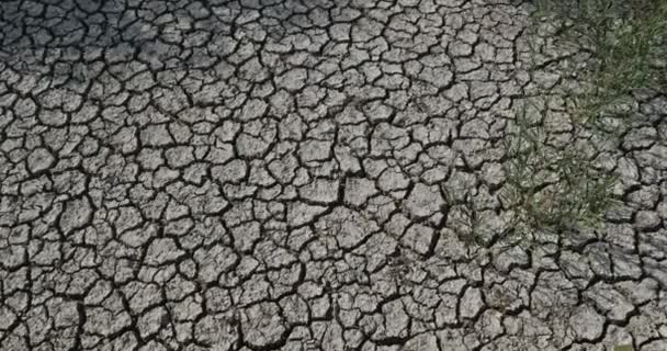 Trockenheit Südfrankreich Okzitanien Frankreich — Stockvideo