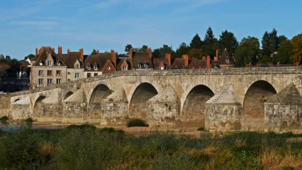 Gien Loiret France Castle Church Overlooking Loire River — Stock Video