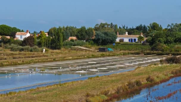 Noirmoutier Noirmoutier Island Biscayabukten Vende Frankrike Saltkärr Framför Byn Noirmoutier — Stockvideo