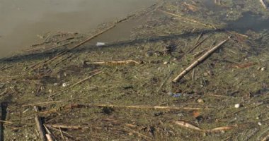 Kirli su yüzeyinde atık