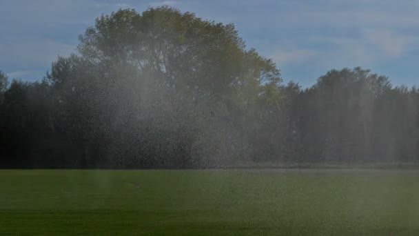 Campos Irrigados Por Sistema Riego Por Pivote Gard Occitanie Francia — Vídeos de Stock