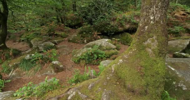 Roches Diable Querrien Finistere Bretagne Frankrijk Elle Kruist Het Oriëntatiepunt — Stockvideo