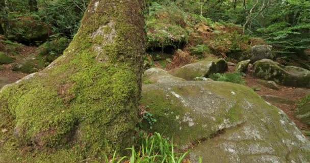 ロッシュ ディブル ケリアン フィニステール県 ブルターニュ フランス エル川はランドマークを横断 Roches Diable — ストック動画