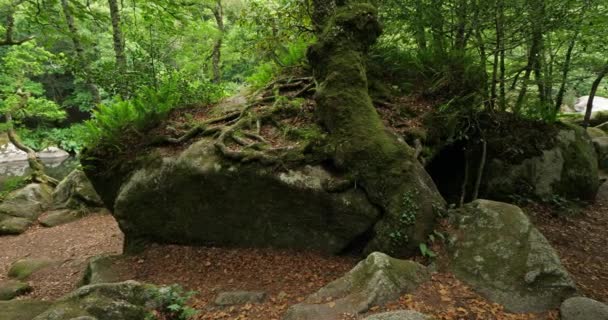 Roches Diable Ferrien Finistere Department Brittany France Река Эль Пересекающая — стоковое видео